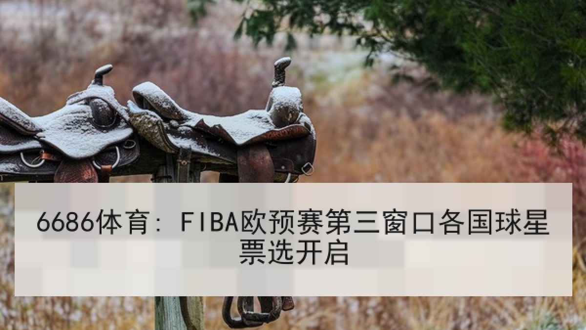 6686体育: FIBA欧预赛第三窗口各国球星票选开启