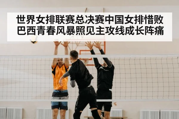 volleyball spike net