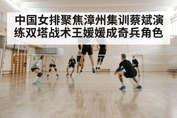 volleyball block defense